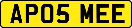 AP05MEE