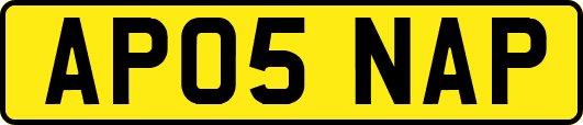 AP05NAP