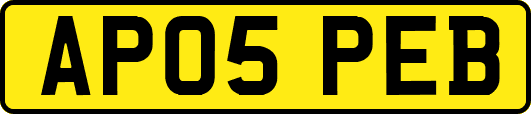 AP05PEB