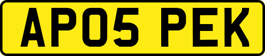 AP05PEK