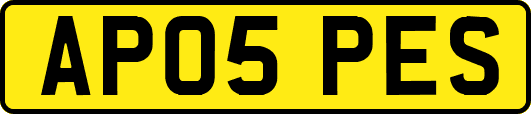 AP05PES