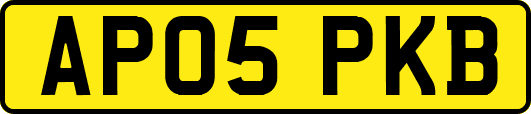 AP05PKB