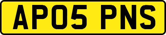 AP05PNS