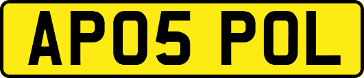 AP05POL