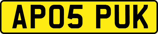 AP05PUK