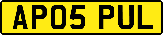 AP05PUL
