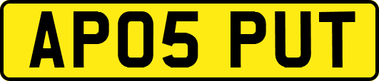 AP05PUT