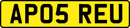 AP05REU