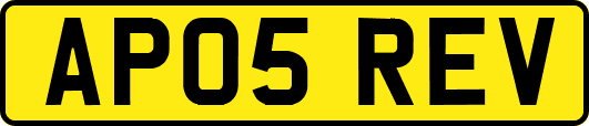 AP05REV