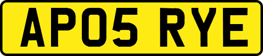 AP05RYE