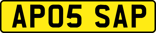 AP05SAP