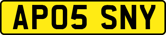 AP05SNY