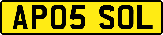AP05SOL