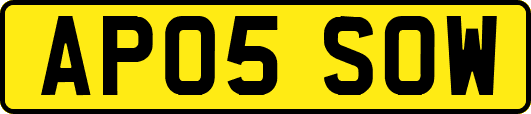 AP05SOW