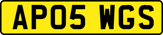 AP05WGS