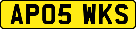AP05WKS