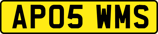 AP05WMS
