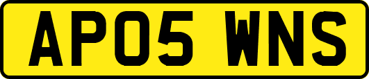 AP05WNS