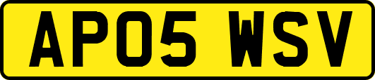 AP05WSV