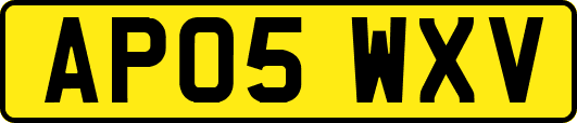 AP05WXV