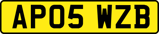 AP05WZB