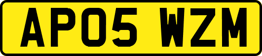 AP05WZM