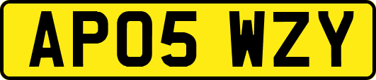 AP05WZY