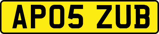 AP05ZUB