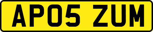 AP05ZUM