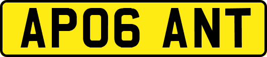 AP06ANT