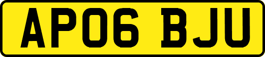 AP06BJU
