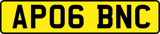 AP06BNC