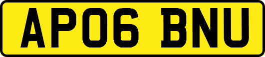 AP06BNU