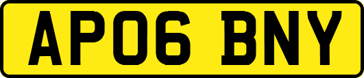 AP06BNY