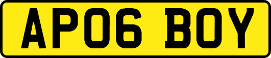 AP06BOY