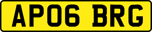 AP06BRG