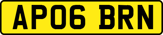 AP06BRN