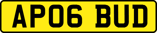 AP06BUD