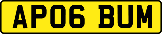 AP06BUM