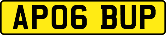 AP06BUP
