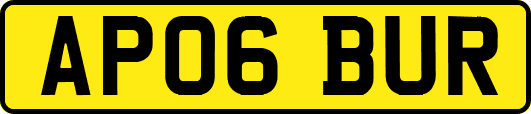 AP06BUR