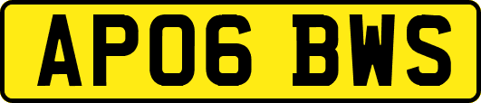 AP06BWS