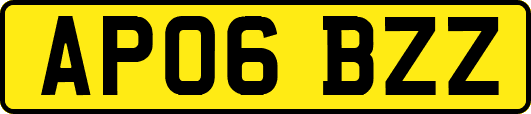 AP06BZZ