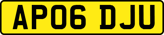 AP06DJU