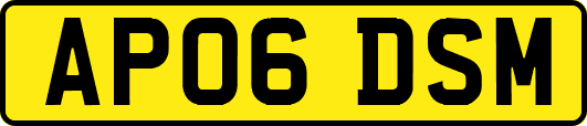 AP06DSM