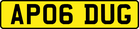 AP06DUG