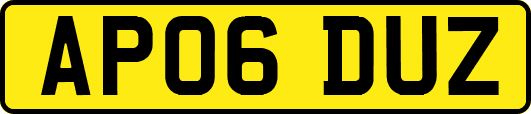 AP06DUZ
