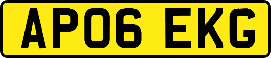 AP06EKG
