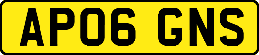 AP06GNS