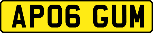 AP06GUM
